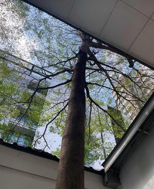 geesutthirak-1710648867-3325486183093345093-1992973541