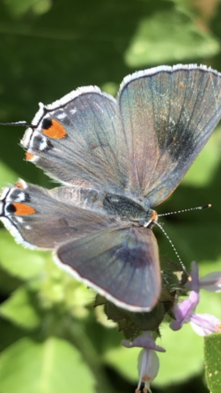 896BD9BD-7D05-4D20-B55F-CAC4329CA806