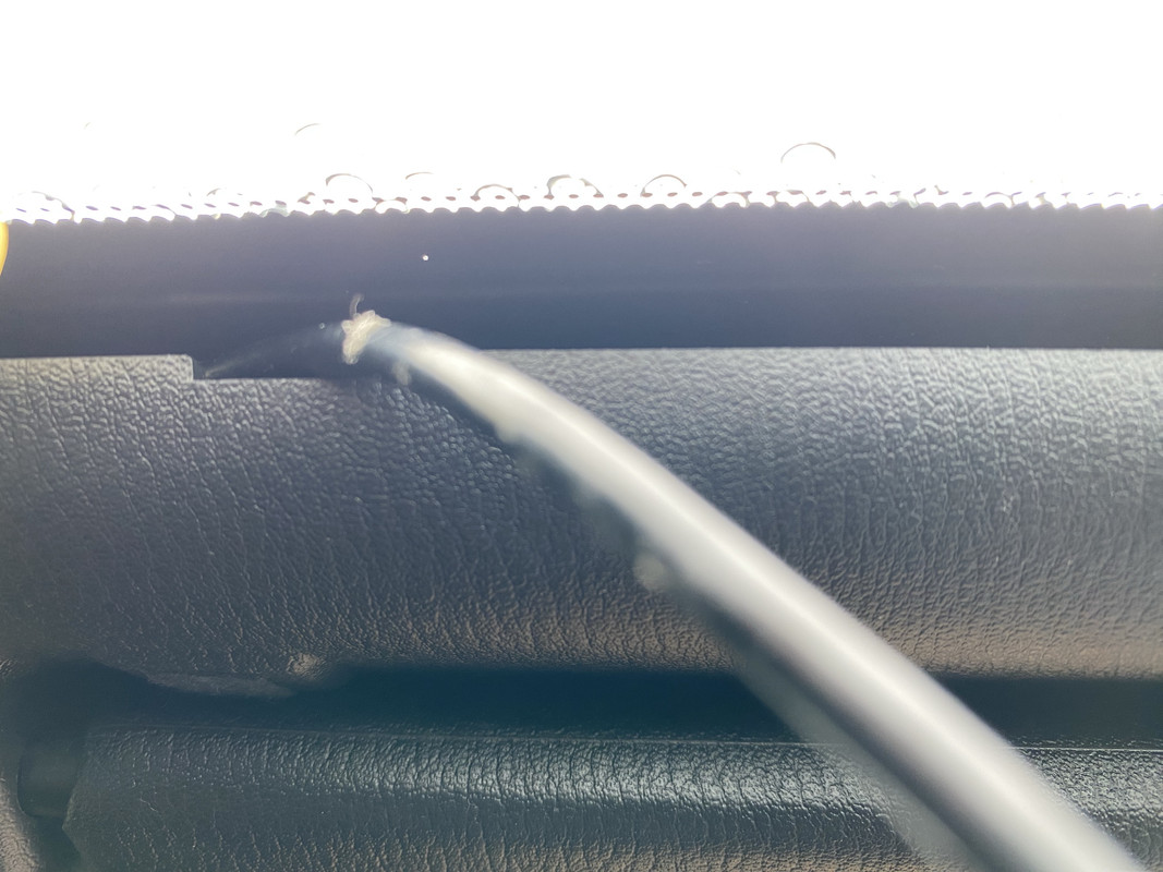 2023-03-29_13-57-24_IMG_2839