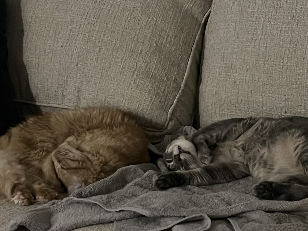 28F678F0-D57A-4576-8DCF-748B5C20943D