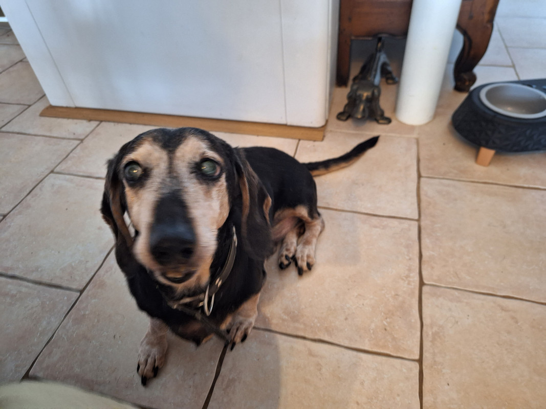 [Image: 20230901-175000PILOU.jpg]