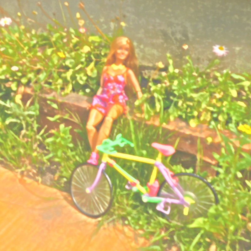 Дачное июль 203 и барби 051