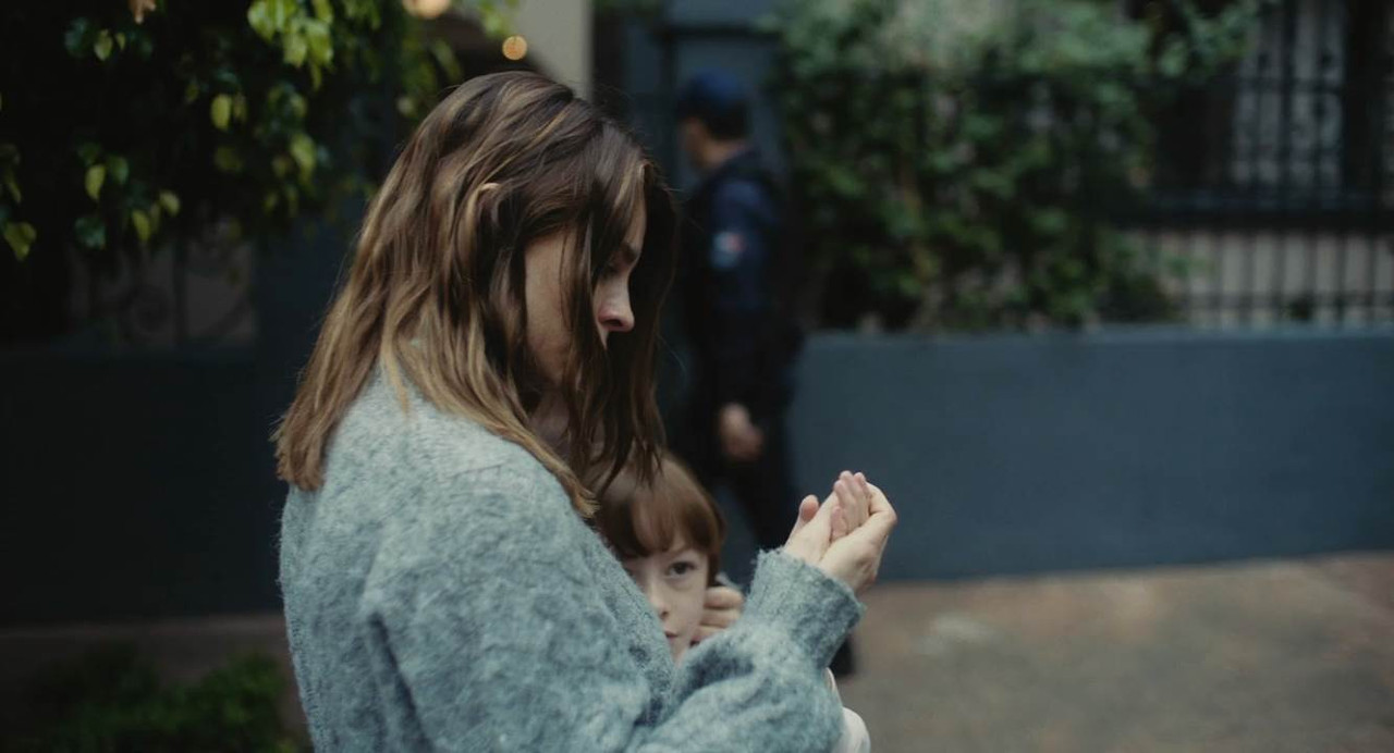 The Diary 2024 WebRip [Hindi + English] 480p, 720p ESub Screenshot