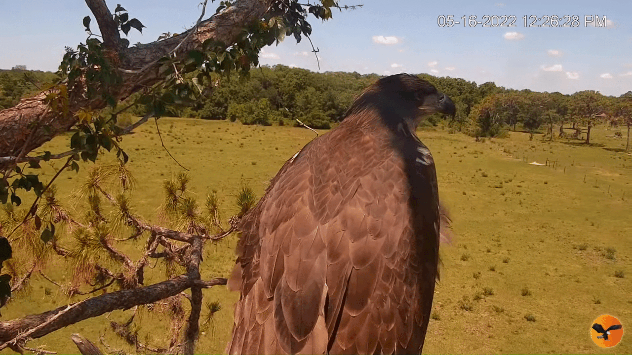 Webp.net-gifmaker (4)