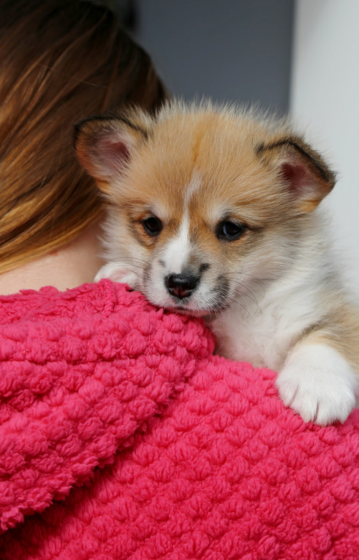 IMG_760319.02.24 маслинка