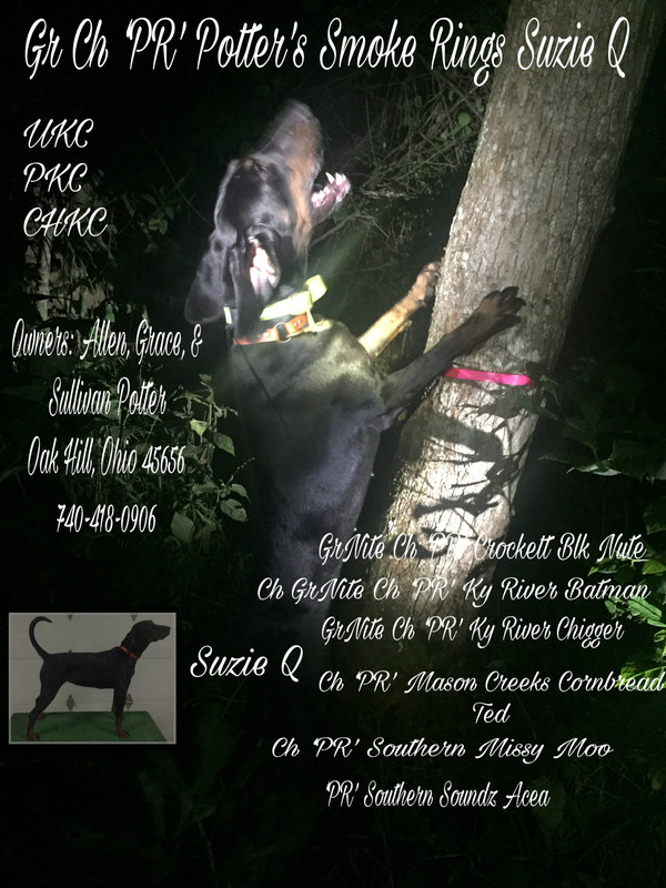 9075B418-7076-4DED-837B-4CA083091E55