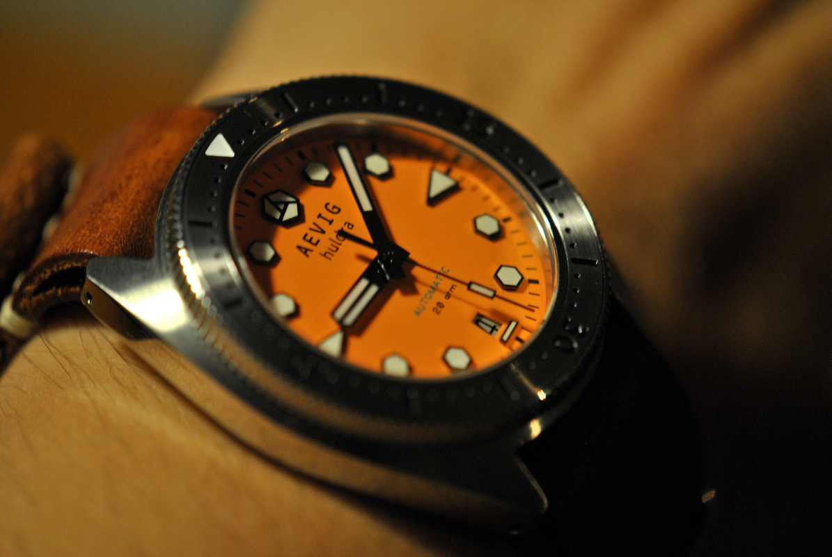Aevig-(13)
