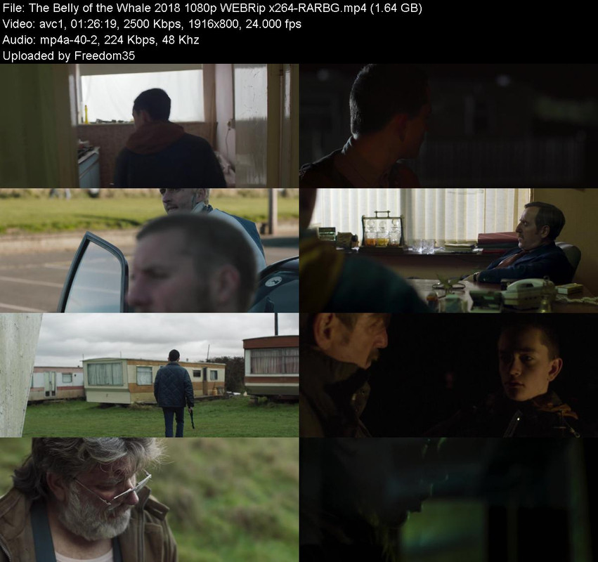 The-Belly-of-the-Whale-2018-1080p-WEBRip