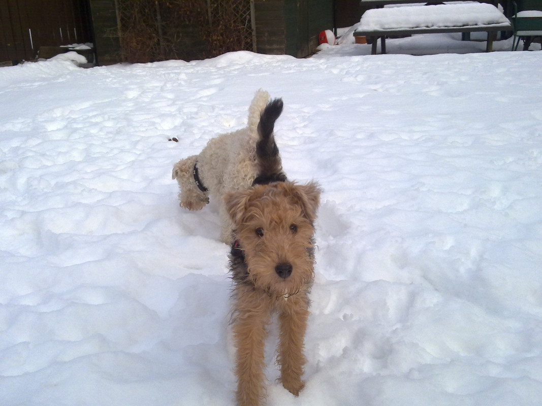 [Image: 09122010082-1.jpg]