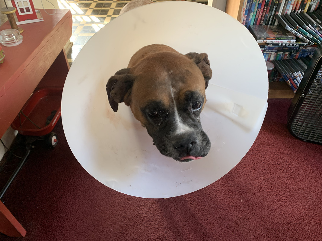 5918844A-E9C4-4589-8267-60890AC7A53F