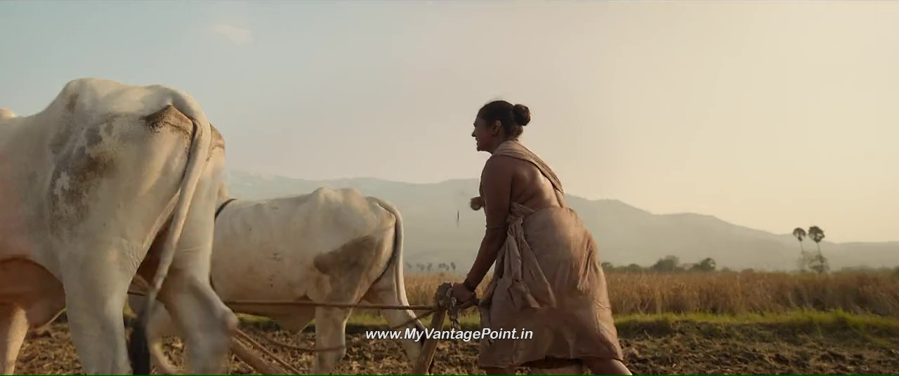 9Parvathy-Thiruvothu-Vikram-and-Malavika-Mohanan-in-Thangalaan-2024-My-Vantage-Point