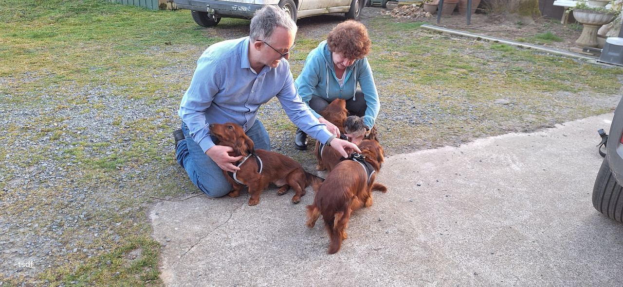 [Image: 20250306-181738.jpg]