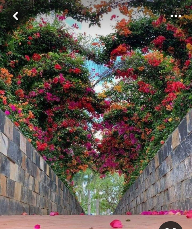 Screenshot_20240512_130523_Pinterest