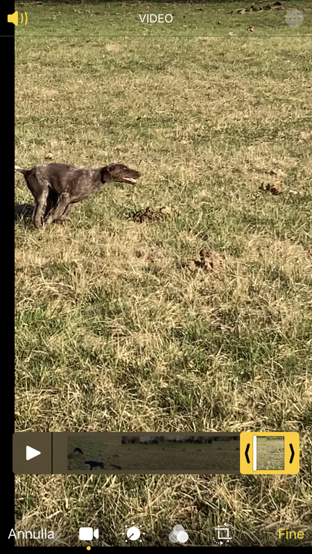 16D19258-48E6-4FFD-A08D-025FBF7C40DC