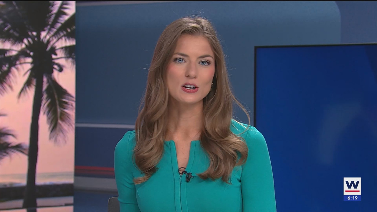 WINK News at 600am_20250227_11001130.ts_snapshot_20.03.001