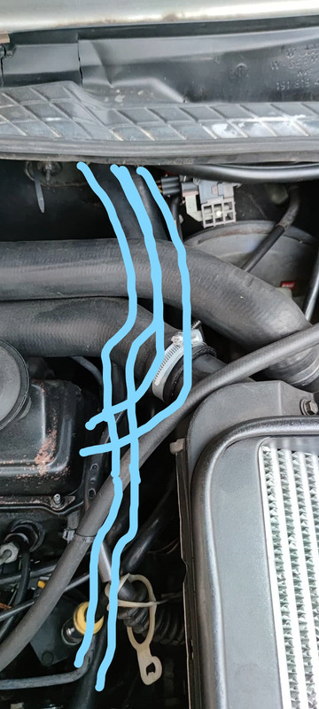 Inked158756408_891061555049027_2558119232432473452_n_LI