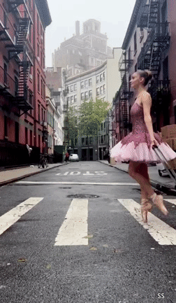 IMG-2629.gif