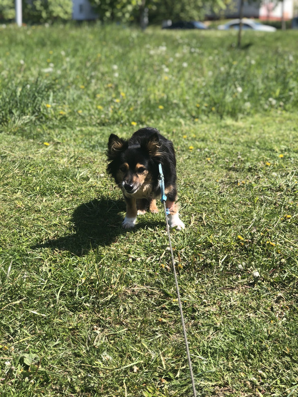 F2FD17B7-AD1B-47A0-9F2B-F1B0C8F63BAB