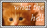 tumblr 0553bc50e075fccfeb4b632b39787973 fcaa1ee0 100