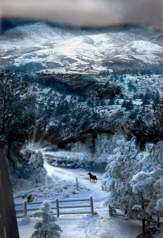 Screenshot_20230312_234824_Pinterest