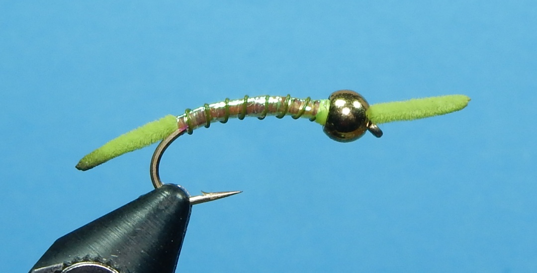 Chartreuse-Worm-1080.jpg