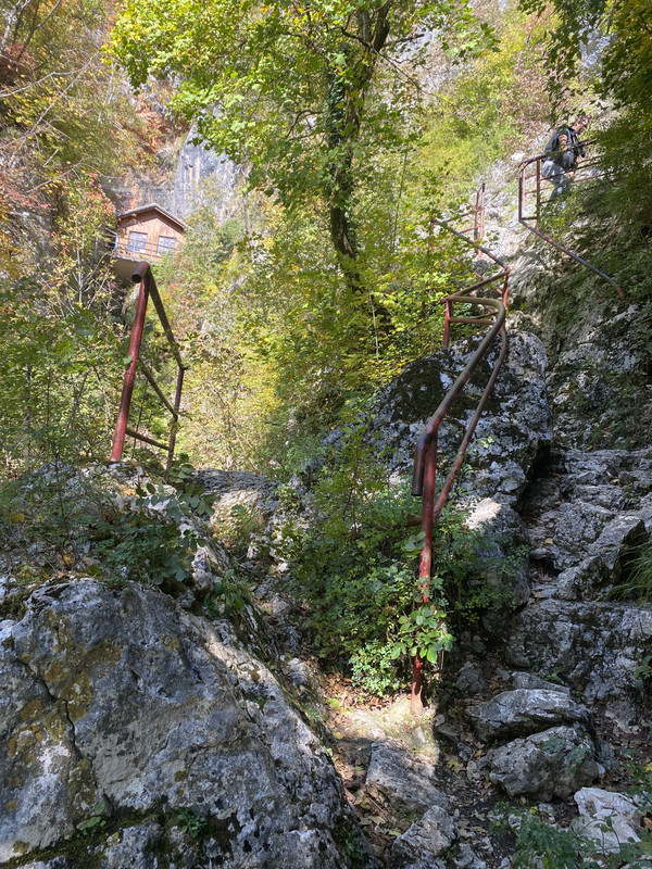 IMG-7568.jpg