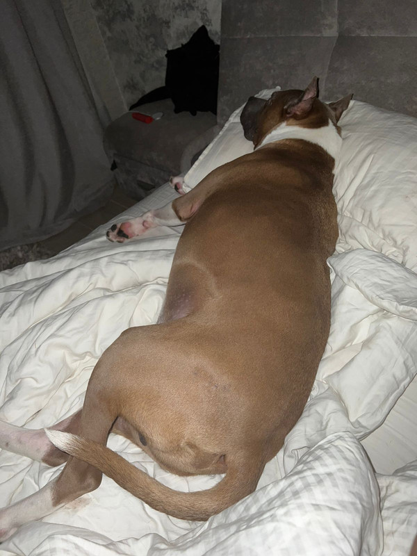 5DDA2493-60E1-4371-B398-E499AD6A1862