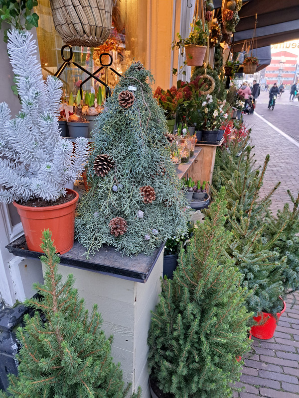 [Image: 20221209-155541.jpg]