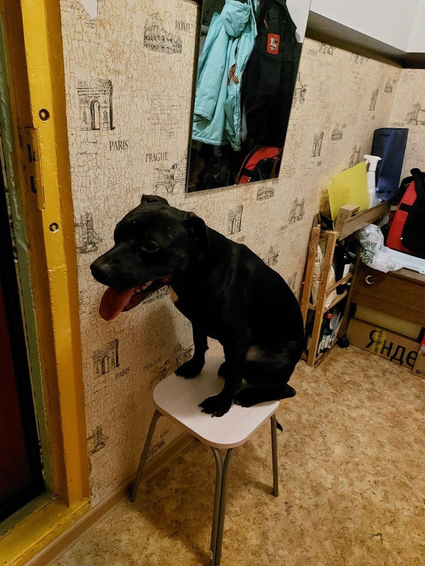 EB3D61A2-C9FC-4CA9-A45E-A5B496F318E5