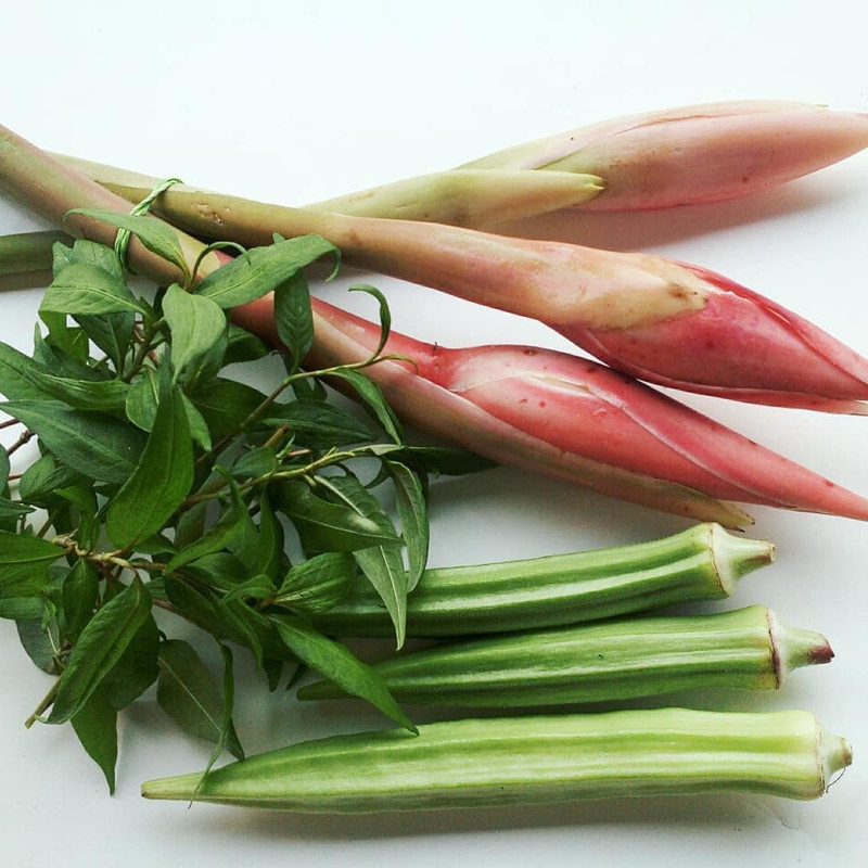 bunga Kecombrang