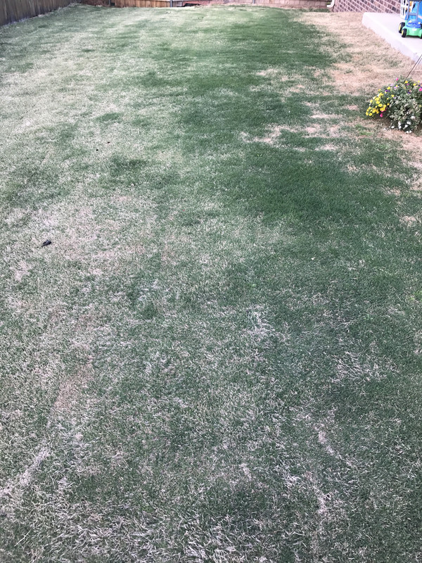 E59752B5-077C-462B-8B02-A9CB85A94055