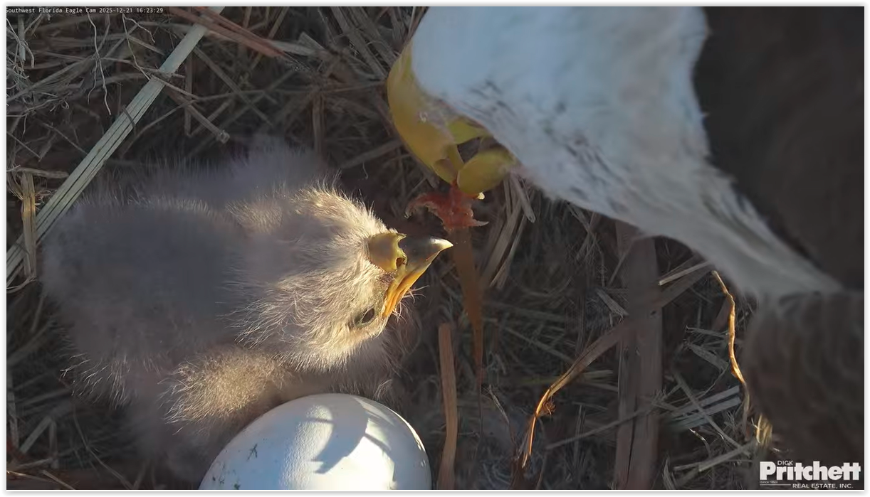 Screen Shot 12 22 25 at 09 06 AM