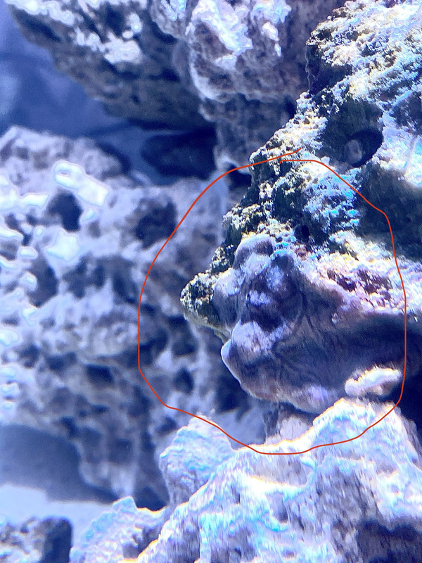 26D870C1-0EE9-426B-BF02-6DDC1DB996CD