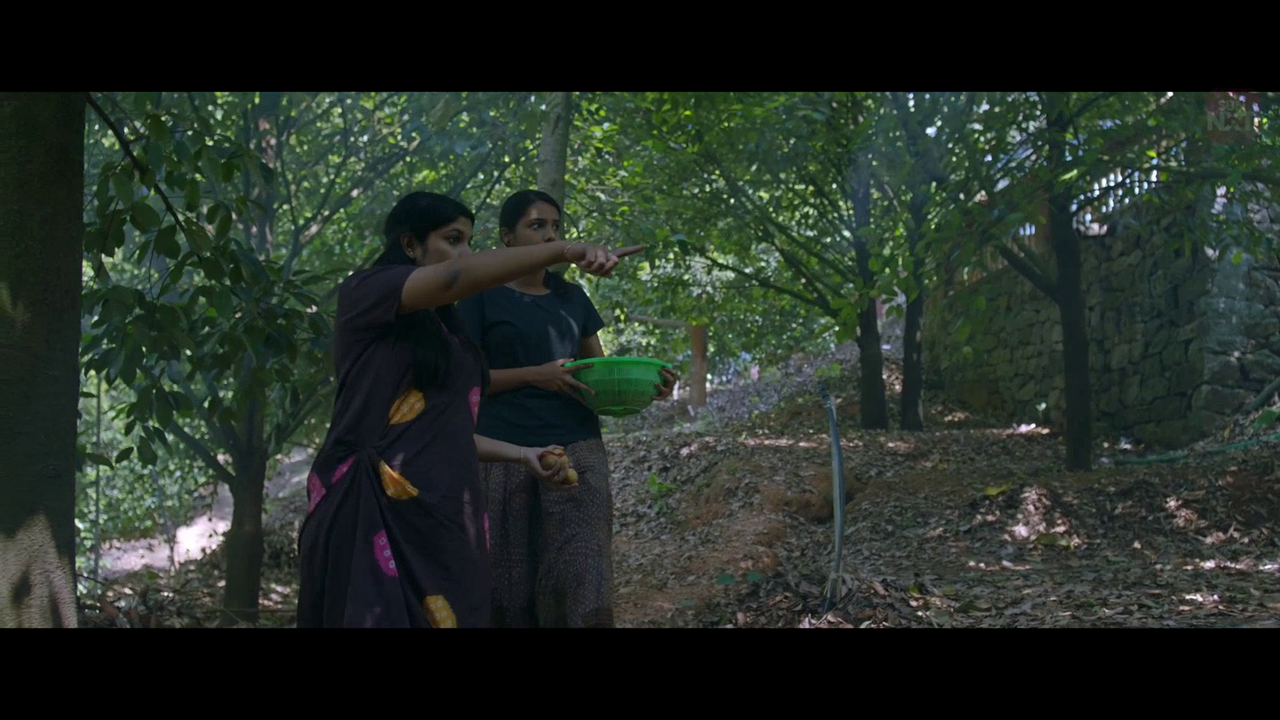 vlcsnap 2026 02 11 15h43m57s476