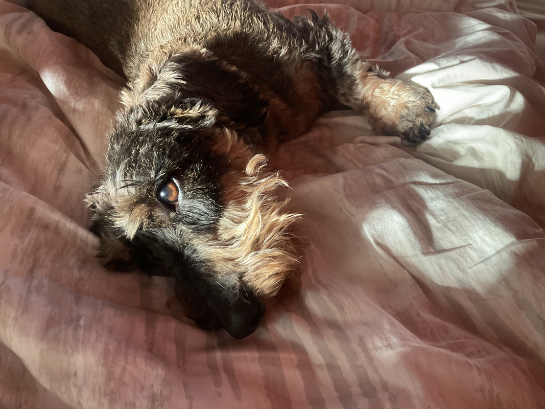 [Image: IMG-0845.jpg]