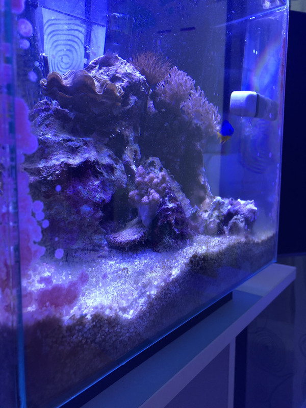 EA83B62A-AF19-4DFE-9A75-96802C3A9852