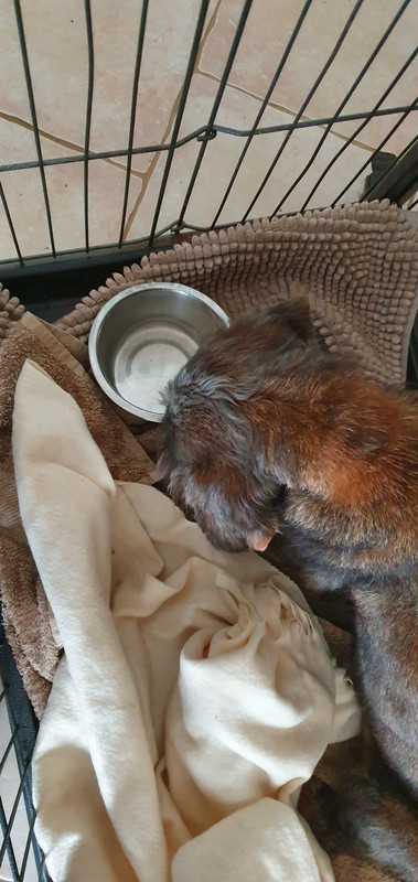 [Image: 20230402-122157.jpg]