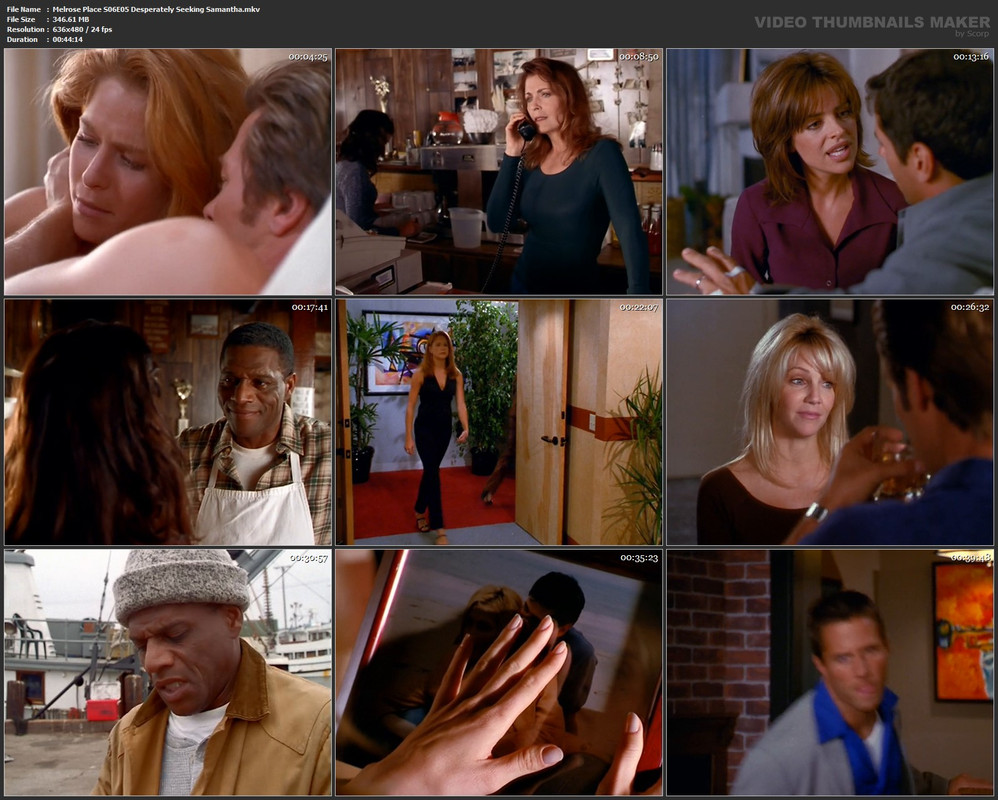 Melrose Place S06E05 Desperately Seeking Samantha.mkv