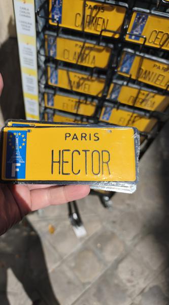 París: Exposiciones de Renoir, Matisse, Rousseau, Miguel Ángel y Rodín etc etc - Blogs de Francia - Llegar a París de nuevo: Metro y al Orsay. (7)