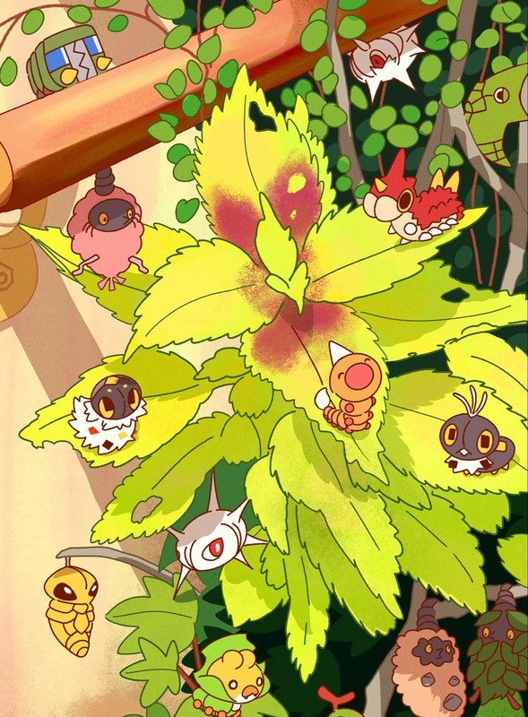 caterpie-weedle-metapod-wurmple-sewaddle