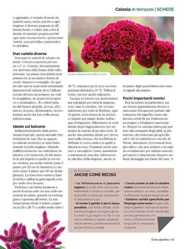 Il Mio Giar Ott-Nov 2022 (6)