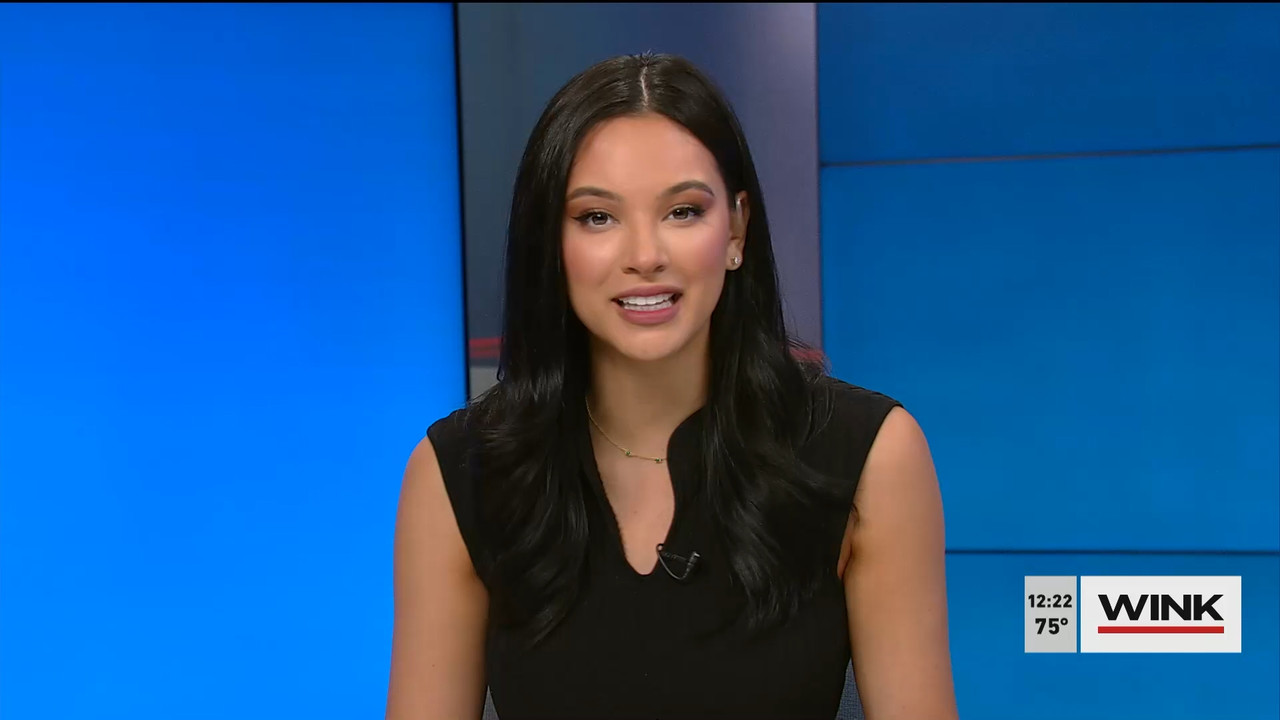 01.09 - 17.00.00 - The WINK Noon News  ᴺᵉʷ. Midday news update..ts_snapshot_28.50.568