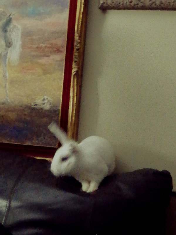 IMG_٢٠٢١٠٦١٠_٠٥٣١٣٨