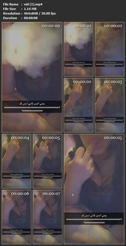 vid (1).mp4