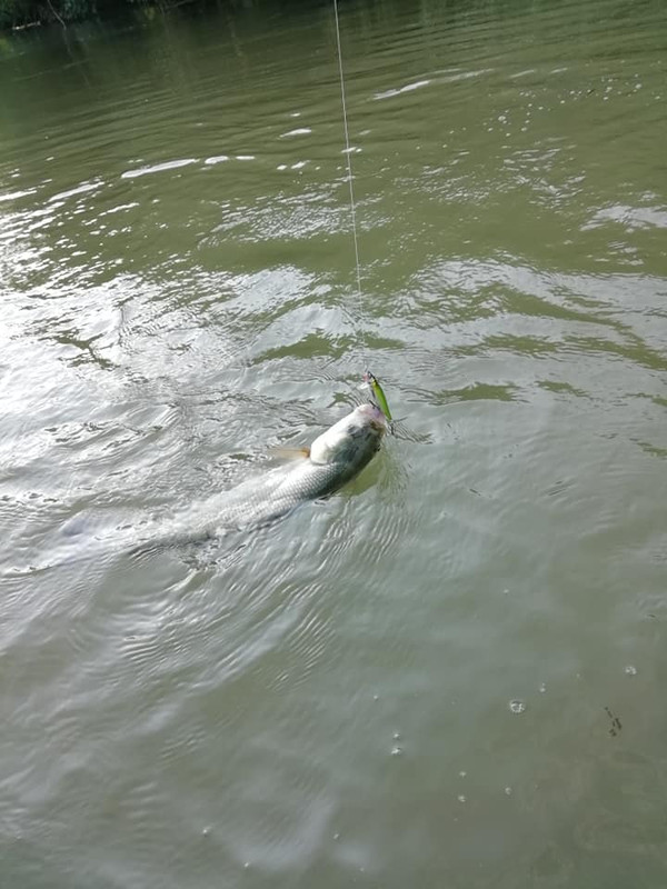 38404682_2051629288203855_4109914030141865984_n