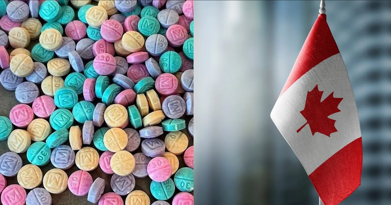 Descubren narco laboratorios en frontera canadiense, EU señala a “Los Chapitos”