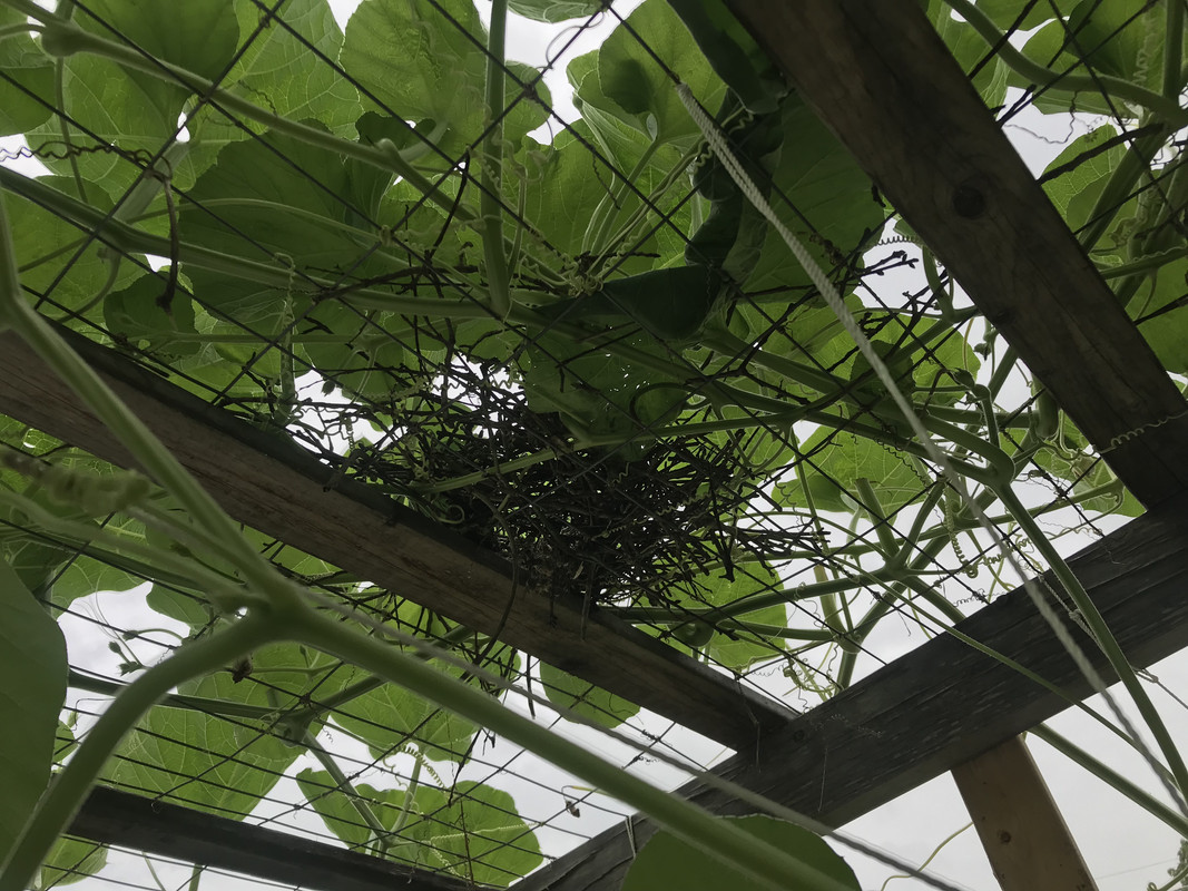 5B0D4011-AE98-49B1-A985-FD116C4B8257