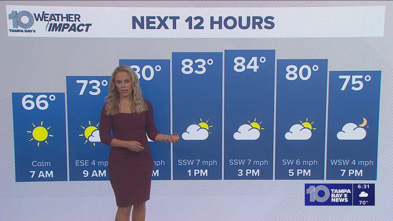 10 Tampa Bay News This Morning at 600 a m 20251125 11001200 ts snapshot 32 20 164