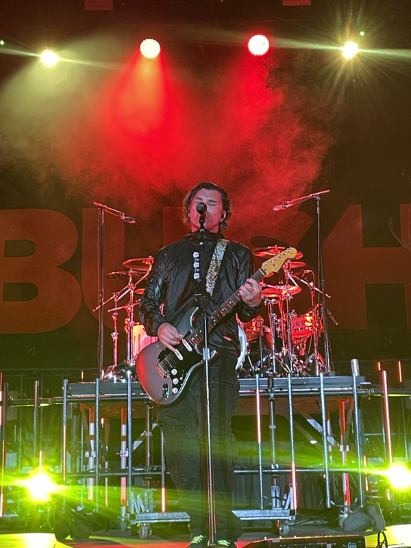 bush