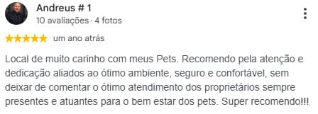 Avaliação real do Google — print 2
